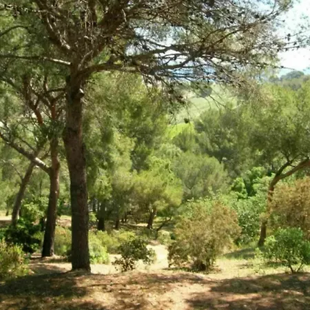 With 2 Bedrooms In Le Lavandou, With Wonderful Sea View, Poo Apartment *